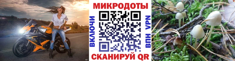 где купить наркоту  Туринск  Псилоцибиновые грибы Psilocybe 