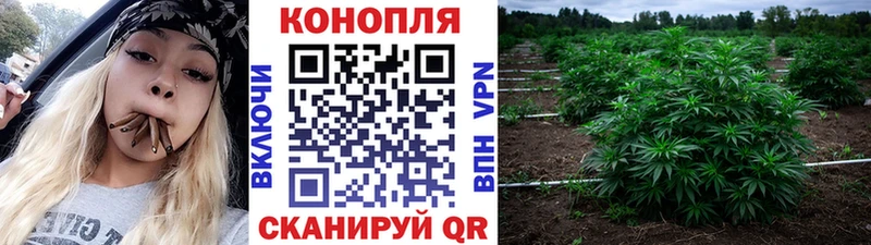 ссылка на мегу tor  Туринск  Канабис OG Kush 